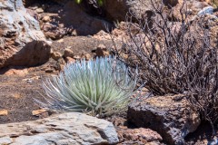 Haleakala-6