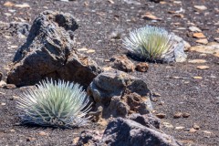 Haleakala-7